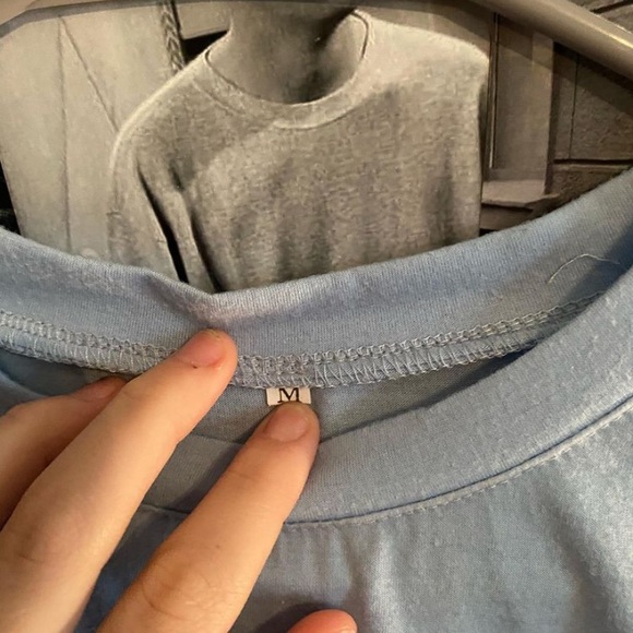 Sunflower Crop - Picture 4 of 4